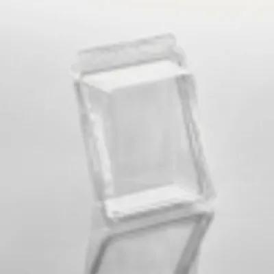 Fresh N' Sealed® Sandwich Wedge Hinged With Flat Lid 5X6X2 IN PET Clear 375/Case