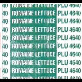 Romaine Lettuce Twist Tie 18X0.375 IN Green PLU #4640 300/Bundle