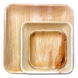 Plate 10X10 IN Palm Leaf Square 25 Count/Pack 4 Packs/Case 100 Count/Case