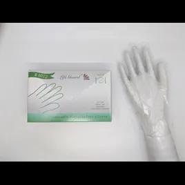 Gloves Large (LG) Plastic Disposable 100 Count/Box 10 Box/Case 1000 Count/Case