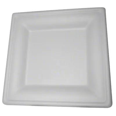 Plate 10 IN Square 125 Count/Pack 2 Packs/Case 250 Count/Case