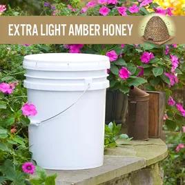 Wild Flower Honey 30 LB Light Amber 1/Pail