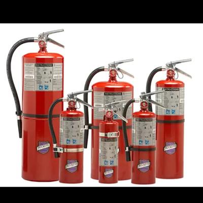 Badger Fire Extinguisher 10 LB New ABC 1/Each