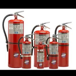 Fire Extinguisher 10 LB ABC Tall 1/Each