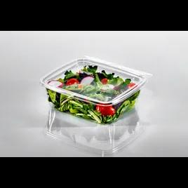 Fresh N' Sealed® Deli Container Hinged With Flat Lid 28 OZ PET Clear Rectangle 240/Case