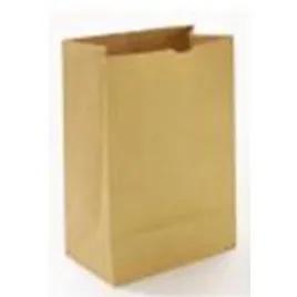 Bag 12X7X17 IN 1/6 BBL Paper 75# Kraft 400/Bale