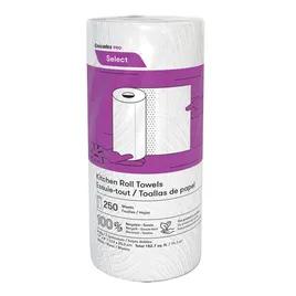 Household & Kitchen Roll Paper Towel Jumbo 2PLY 250 Sheets/Pack 12 Packs/Case 3000 Sheets/Case