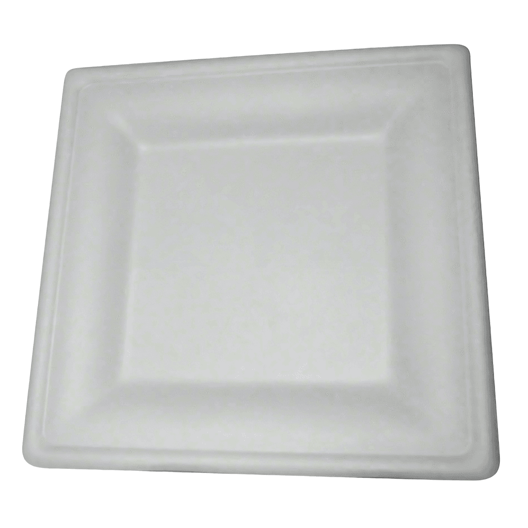 Plate 10 IN Square 125 Count/Pack 2 Packs/Case 250 Count/Case