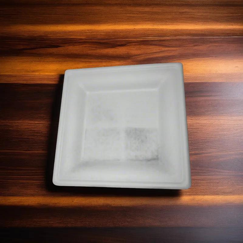 Plate 10 IN Square 125 Count/Pack 2 Packs/Case 250 Count/Case