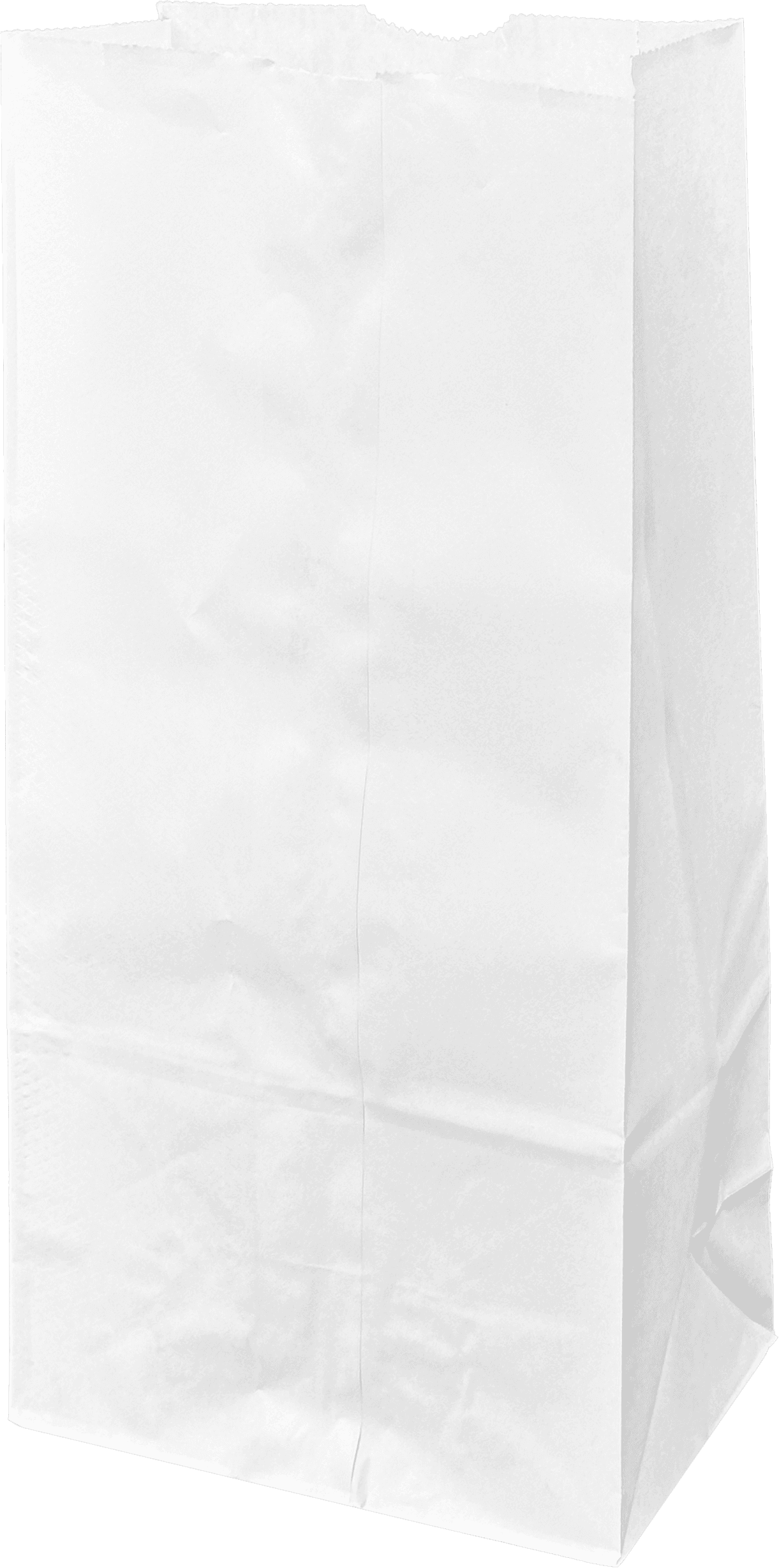 Victoria Bay Bag 6.89X4.53X13.78 IN Paper #12 White 500/Bundle