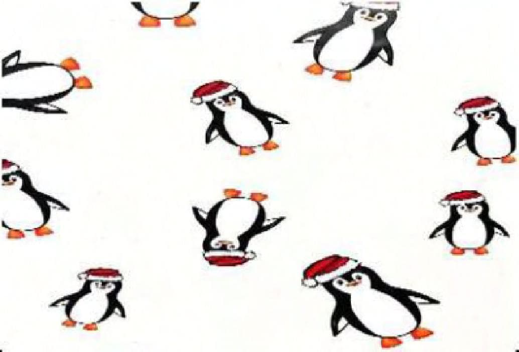 Cellophane Roll 40IN X100FT Clear Penguin 1/Roll